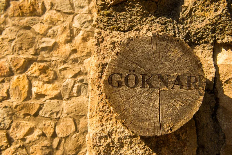 Göknar 1